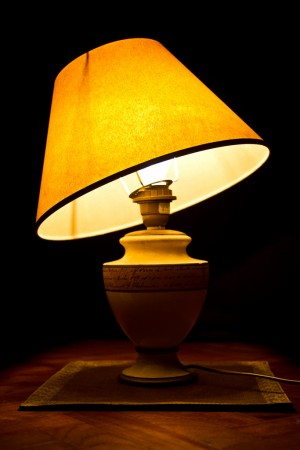 23/365: Old Lamp Shade