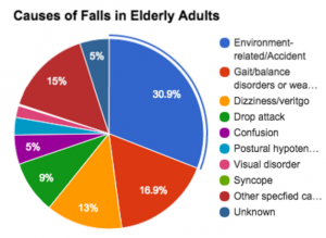 31% of falls among elderly adults can be attributed to environmental fall hazards such as clutter and poor lighting. Luvozo's SBIR award will tackle these issues.