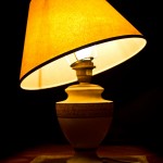 23/365: Old Lamp Shade